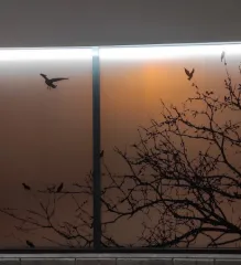 Imagem 5 da empresa AGÊNCIA FUNERÁRIA GUERREIRO Funerais em Ferreira Do Alentejo PT