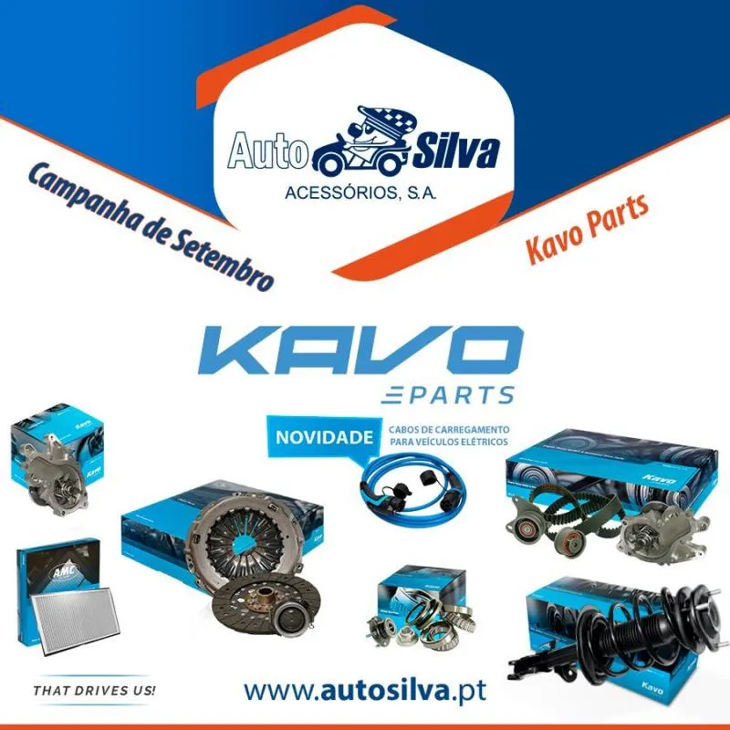 Imagem 2 da empresa AUTO SILVA ACESSÓRIOS