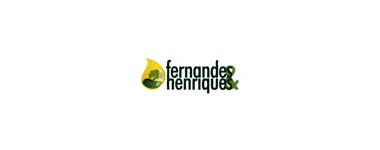 FERNANDES & HENRIQUES LDA