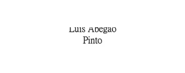 LUÍS ABEGÃO PINTO
