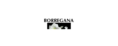FUNERÁRIA BORREGANA UNIPESSOAL LDA