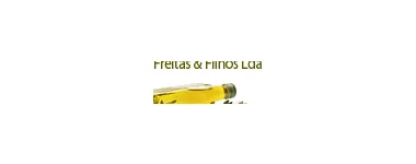 LEOPOLDINO FREITAS & FILHOS LDA