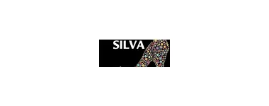 ANA MARIA SILVA-SOCIEDADE UNIPESSOAL LDA