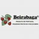 BEIRABAGA-SOCIEDADE DE PRODUÇÃO E COMERCIALIZAÇÃO DE PEQUENOS FRUTOS LDA Produtos Alimentares em Fundão PT