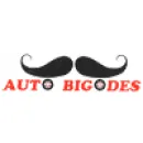 AUTO BIGODES - TÁXIS, REBOQUES E TRANSPORTES DE AUTOMOVÉIS Táxis em Forte Da Casa PT