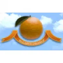 ALGAVE ORANGE Fruta Fresca em Faro PT