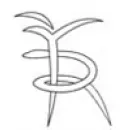 FARMÁCIA RIBEIRAS Farmácias em Perafita PT