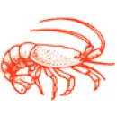 A MARISQUEIRA DE MATOSINHOS Restaurantes em Matosinhos PT