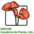 FLORISTA SOFLOR Floristas em Beja PT