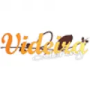 RESTAURANTE VIDEIRA Restaurantes em Guarda PT