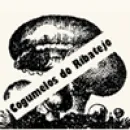 AGROBOLETOS - COGUMELOS SILVESTRES Alimentos Frescos Embalados em Branca Cch PT