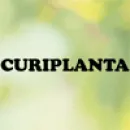 CURIPLANTA Ervanárias em Bobadela Lrs PT