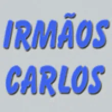 IRMÃOS CARLOS - REBOBINAGENS DE MOTORES ELÉCTRICOS LDA