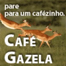 CAFÉ GAZELA