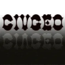 CIVGEO-ESTUDOS DE GEOTECNIA E PROJECTOS LDA