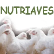 NUTRIAVES-ABATE E TRANSFORMAÇÃO DE AVES LDA