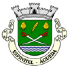 JUNTA FREGUESIA DE ESPINHEL