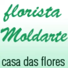 FLORISTA MOLDARTE-CASA DAS FLORES
