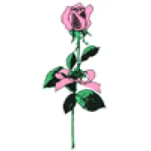 FLORISTA ROSIFLOR