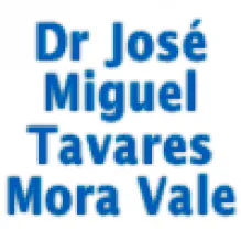 JOSÉ MIGUEL TAVARES MORA VALE