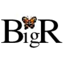 BIG R-SERVIÇOS E GESTÃO DE CONDOMÍNIOS E CONTABILIDADE LDA