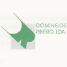 DOMINGOS RIBEIRO LDA