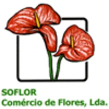 FLORISTA SOFLOR