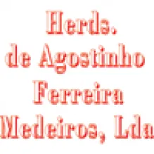 HERDEIROS AGOSTINHO FERREIRA MEDEIROS LDA